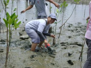 โครงการปลูกต้นไม้รอบบ้าน ครั้งที่ 1 (ป่าชายเลน อ่างศิลา)