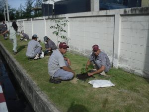 โครงการปลูกต้นไม้รอบบ้าน ครั้งที่ 2 (ปลูกต้นไม้รอบโรงงาน)